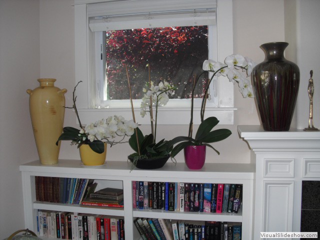 bookshelves