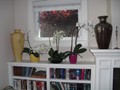 bookshelves