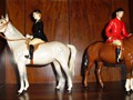 horses